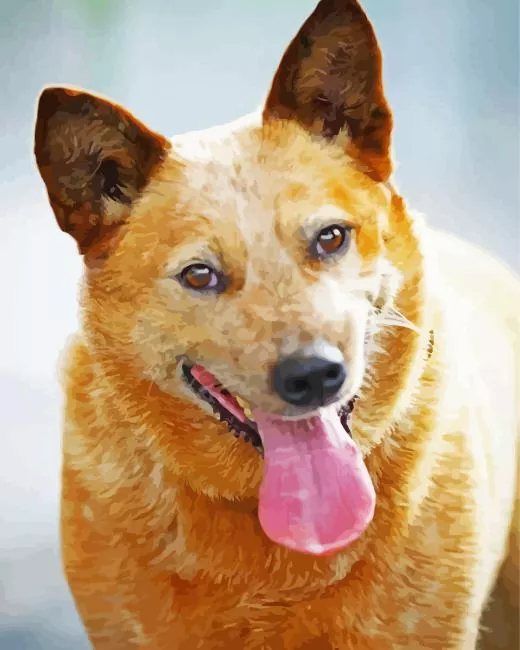 happy Red Heeler Diamond Paintings Happy Red Heeler Diamond Painting