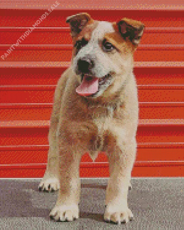 happy Red Heeler dog Diamond Dotz Happy Red Heeler Dog Diamond Painting