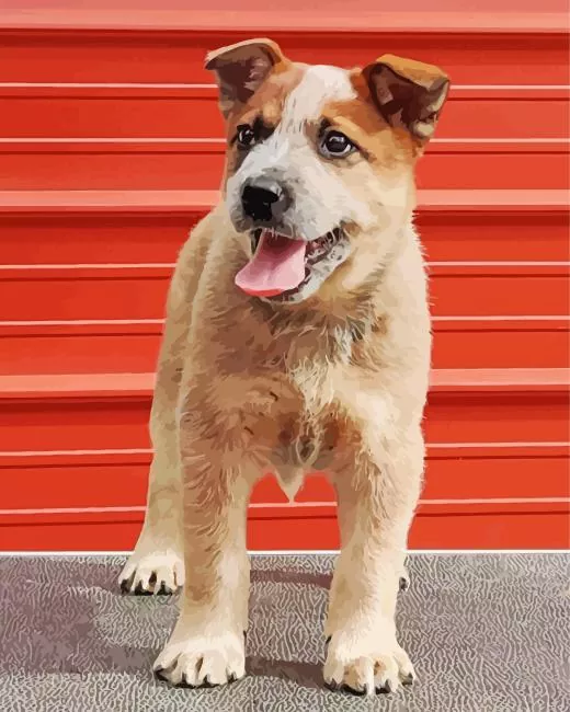 happy Red Heeler dog Diamond Paintings Happy Red Heeler Dog Diamond Painting