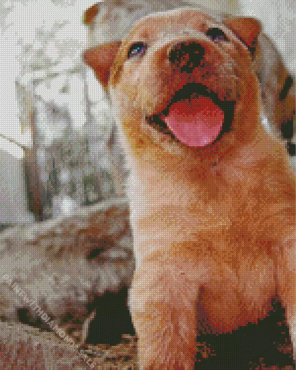 happy Red Heeler puppy Diamond Dotz Happy Red Heeler Puppy Diamond Painting