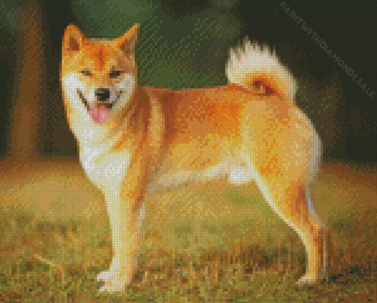 happy Shiba Inu Diamond By Numbers Happy Shiba Inu Diamond Painting