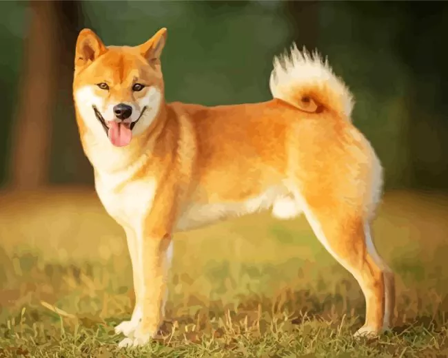 happy Shiba Inu Diamond Paintings Happy Shiba Inu Diamond Painting