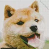 Happy Shiba Inu Dog Diamond Painting