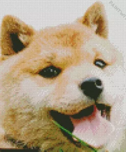 Happy Shiba Inu Dog Diamond Painting