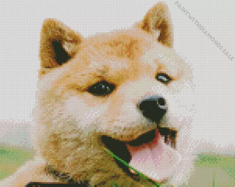 happy Shiba Inu dog Diamond By Numbers Happy Shiba Inu Dog Diamond Painting
