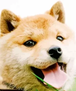 Happy Shiba Inu Dog Diamond Painting