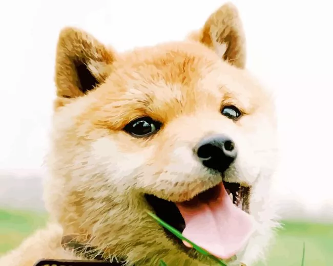 happy Shiba Inu dog Diamond Paintings Happy Shiba Inu Dog Diamond Painting