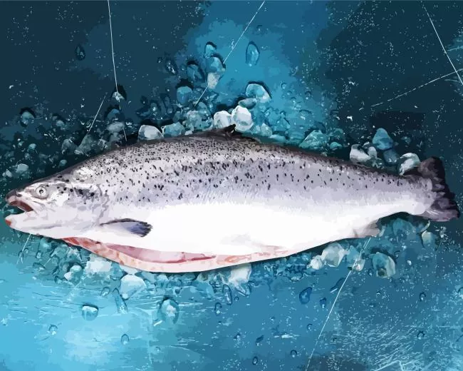 ice Salmon Diamond Paints Ice Salmon Diamond Painting