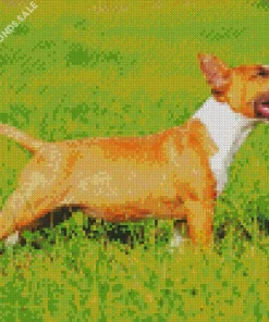 Joyfull Bull Terrier Diamond Painting