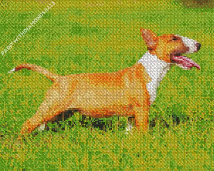 joyfull Bull Terrier Diamond By Numbers Joyfull Bull Terrier Diamond Painting