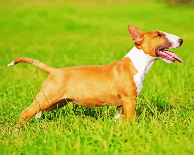 joyfull Bull Terrier Diamond Paintings Joyfull Bull Terrier Diamond Painting