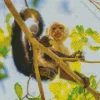 Joyfull Capuchin Monkey Diamond Painting