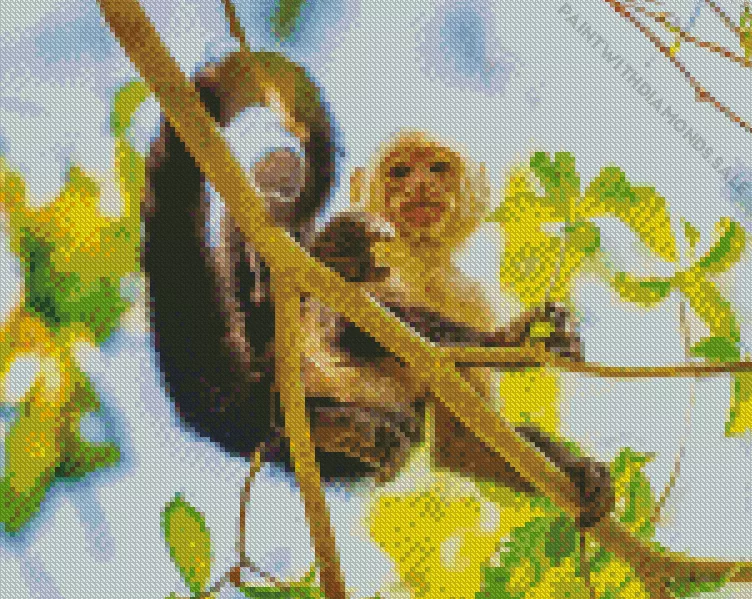 joyfull Capuchin Monkey Diamond By Numbers Joyfull Capuchin Monkey Diamond Painting