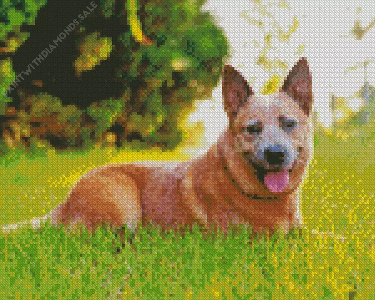 joyfull Red Heeler Diamond Dotz Joyfull Red Heeler Diamond Painting