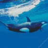 Killer Whale Diamond Painting