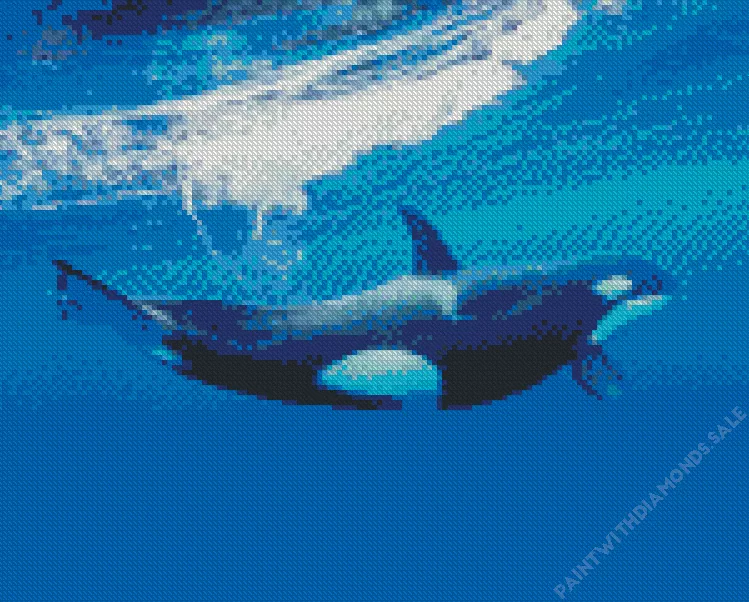 killer whale7 Diamond Paintings Killer Whale Diamond Painting