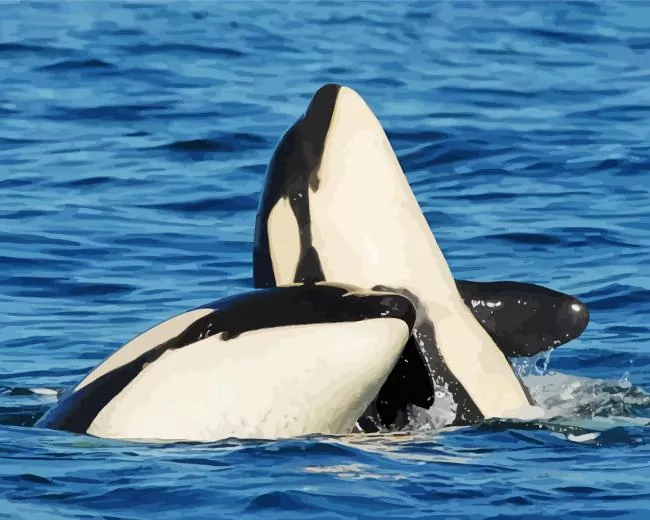 killer whales Diamond With Numbers Killer Whales Diamond Painting