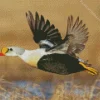 King Eider In Flight Diamond Painting