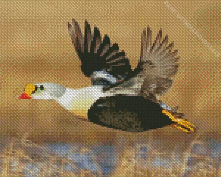 king eider in flight Diamond Dotz King Eider In Flight Diamond Painting