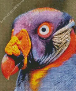 King Vulture Diamond Painting