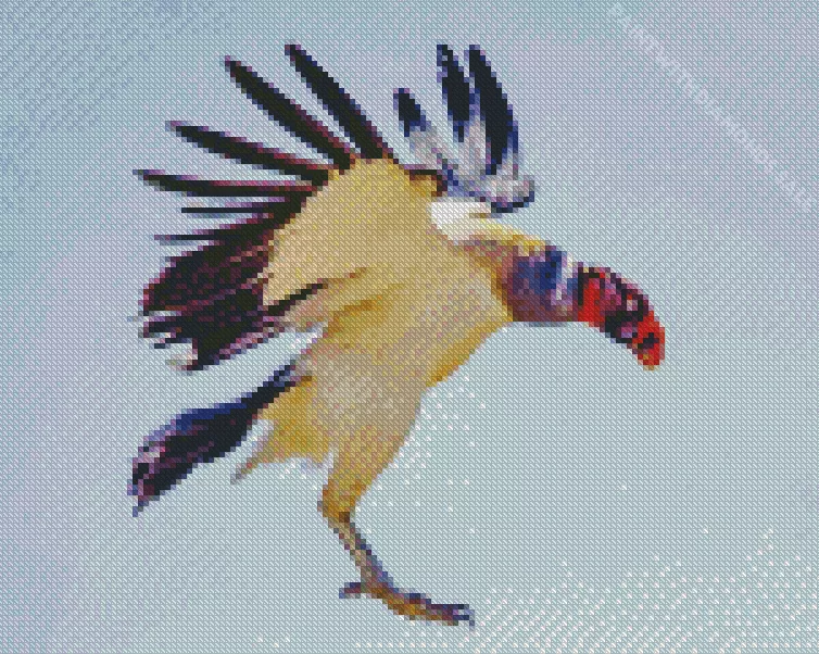 king vulture landing Diamond Dotz king Vulture Landing Diamond Painting