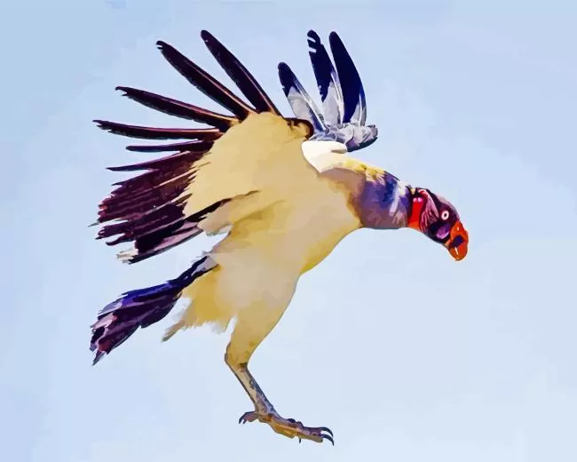 king vulture landing Diamond With Numbers king Vulture Landing Diamond Painting