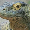 Komodo Dragon Close Up Diamond Painting