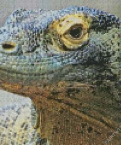 Komodo Dragon Close Up Diamond Painting