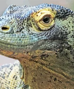 Komodo Dragon Close Up Diamond Painting