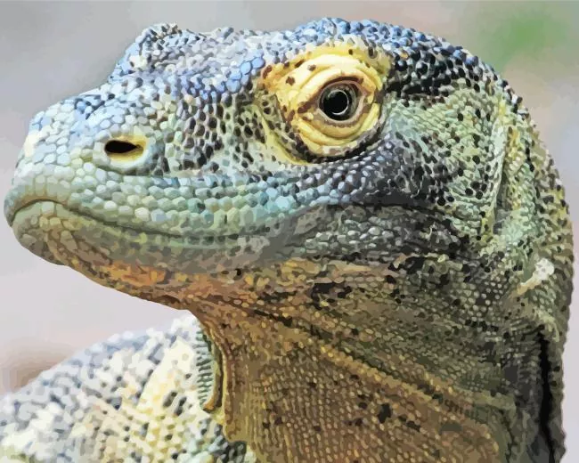 komodo dragon close up Diamond Paintings Komodo Dragon Close Up Diamond Painting