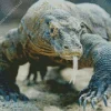 Komodo Dragon Head Diamond Painting