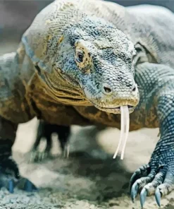 Komodo Dragon Head Diamond Painting