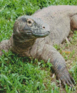Komodo Dragon Diamond Painting