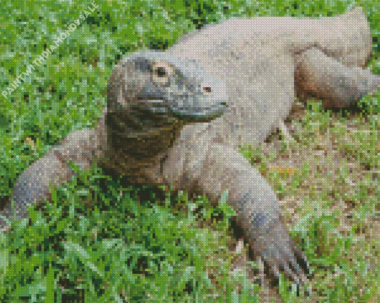 komododragon Diamond By Numbers Komodo Dragon Diamond Painting