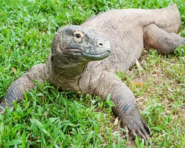 komododragon Diamond Paintings Komodo Dragon Diamond Painting
