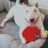 Lazy Bull Terrier Diamond Painting