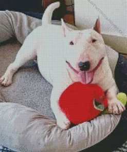 Lazy Bull Terrier Diamond Painting