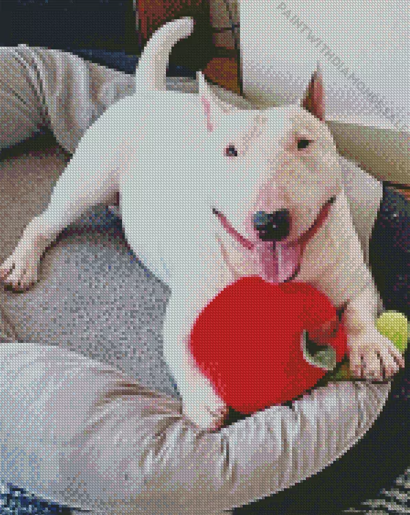 lazy Bull Terrier Diamond By Numbers Lazy Bull Terrier Diamond Painting