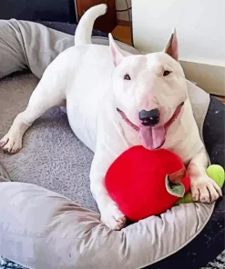 Lazy Bull Terrier Diamond Painting