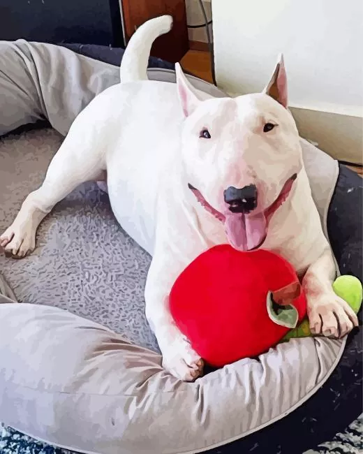lazy Bull Terrier Diamond Paintings Lazy Bull Terrier Diamond Painting