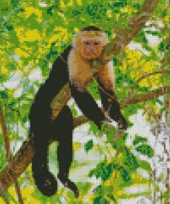 Lazy Capuchin Monkey Diamond Painting