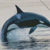 Leaping Orca Diamond Painting