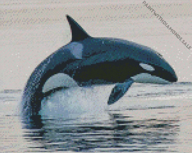 leaping Orca Diamond Paintings Leaping Orca Diamond Painting