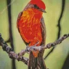 Little Vermilion Flycatcher Diamond Painting