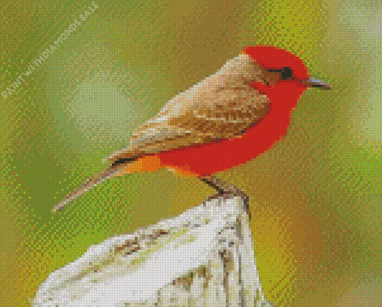 little Vermilion Flycatcher bird Diamond By Numbers Little Vermilion Flycatcher Bird Diamond Painting