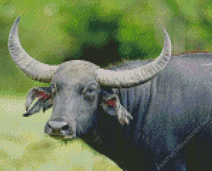 long horned wild water buffalo Diamond By Numbers Long Horned Wild Water Buffalo Diamond Painting