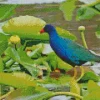 Lovely American Purple Gallinule Diamond Painting