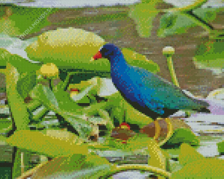lovely American Purple Gallinule Diamond Dotz Lovely American Purple Gallinule Diamond Painting