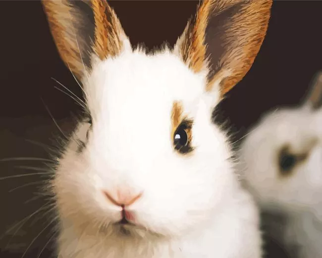 lovely Angora rabbit Diamond Paintings Lovely Angora Rabbit Diamond Painting