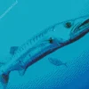 Lovely Barracuda Fish Diamond Painting